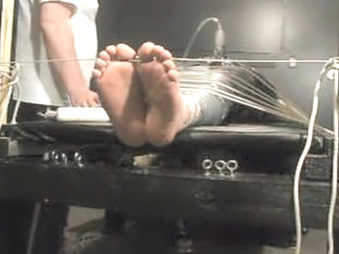 UK Tickle Bear