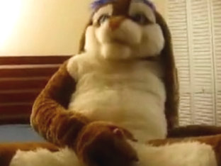 Fursuit Masturbation