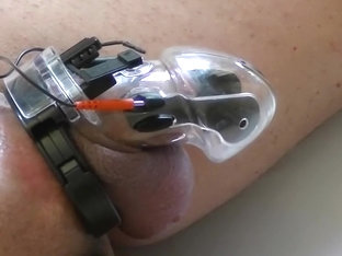 electro estim: caged-cock-short