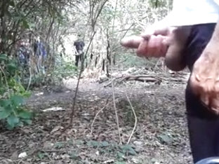 crusing in the forest