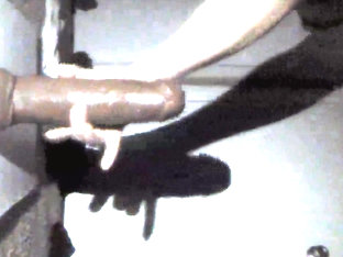 Analfunner fishnets BBC riding sissy