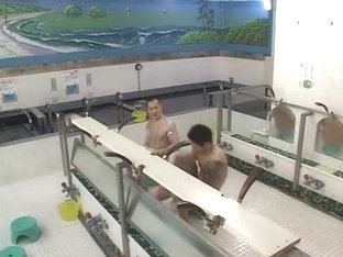 Astonishing xxx video homo Solo crazy , it's amazing