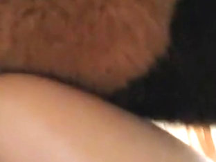 fursuit fuck and creampie