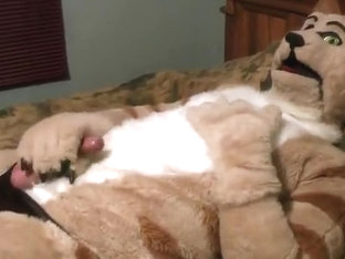 Dexter - Kitty Paws Episode IV: A New Paw