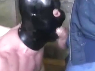 German pigs