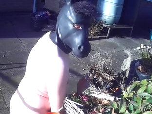 Tasked myself with some outside chores ... Naked!